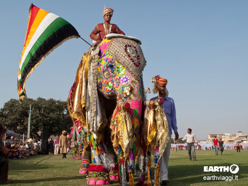 Festa degli Elefanti, Jaipur