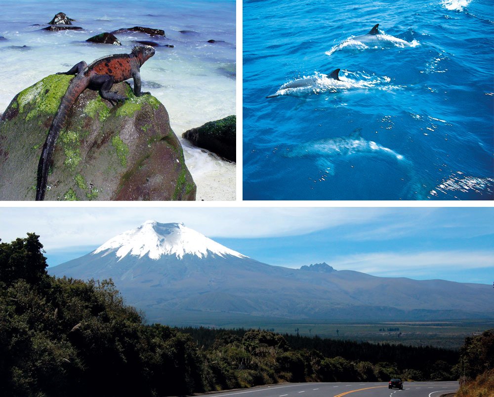 Ecuador: tra tartarughe giganti e vulcani la patria del “buen vivir”