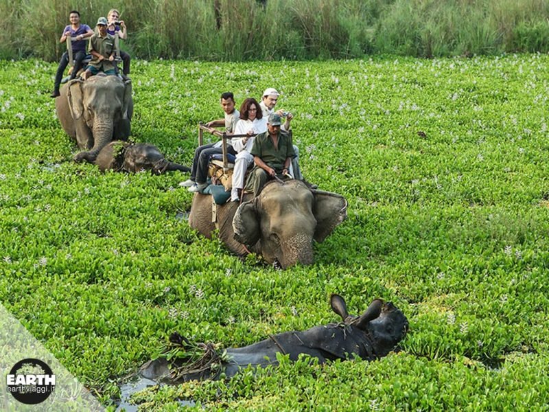Alla scoperta del Parco Nazionale di Chitwan in Nepal