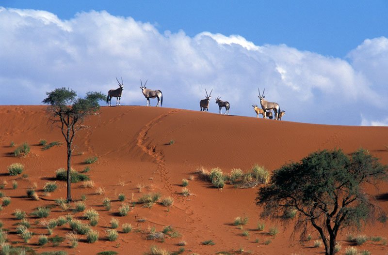 Namibia, il meglio dell'Africa in un Paese