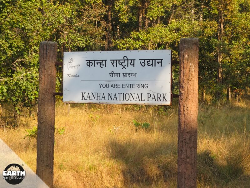 Sulle tracce della tigre nei Parchi Nazionali del Madhya Pradesh (India)