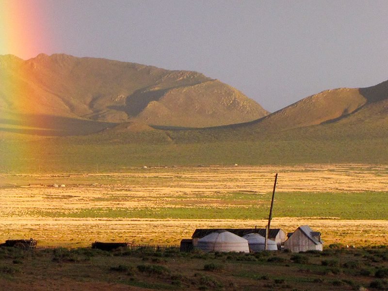 In mongolia in retromarcia, massimo zamboni