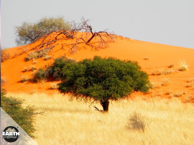 deserto del kalahari namibia