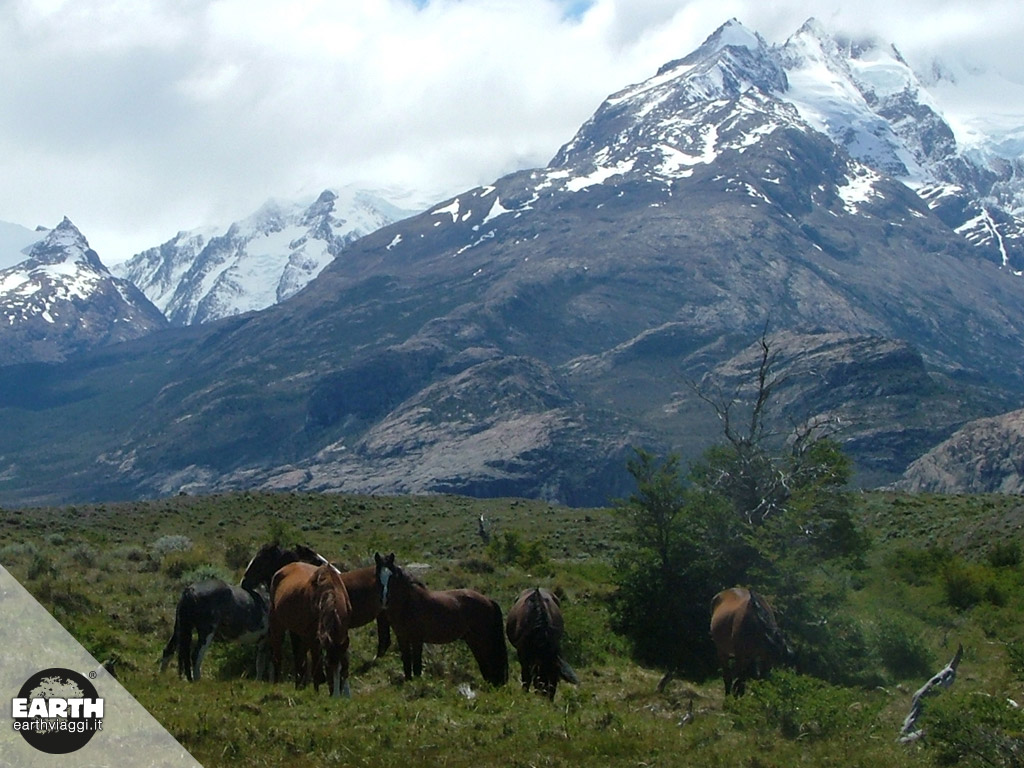 Cavalcare in Patagonia, nelle terre infinite