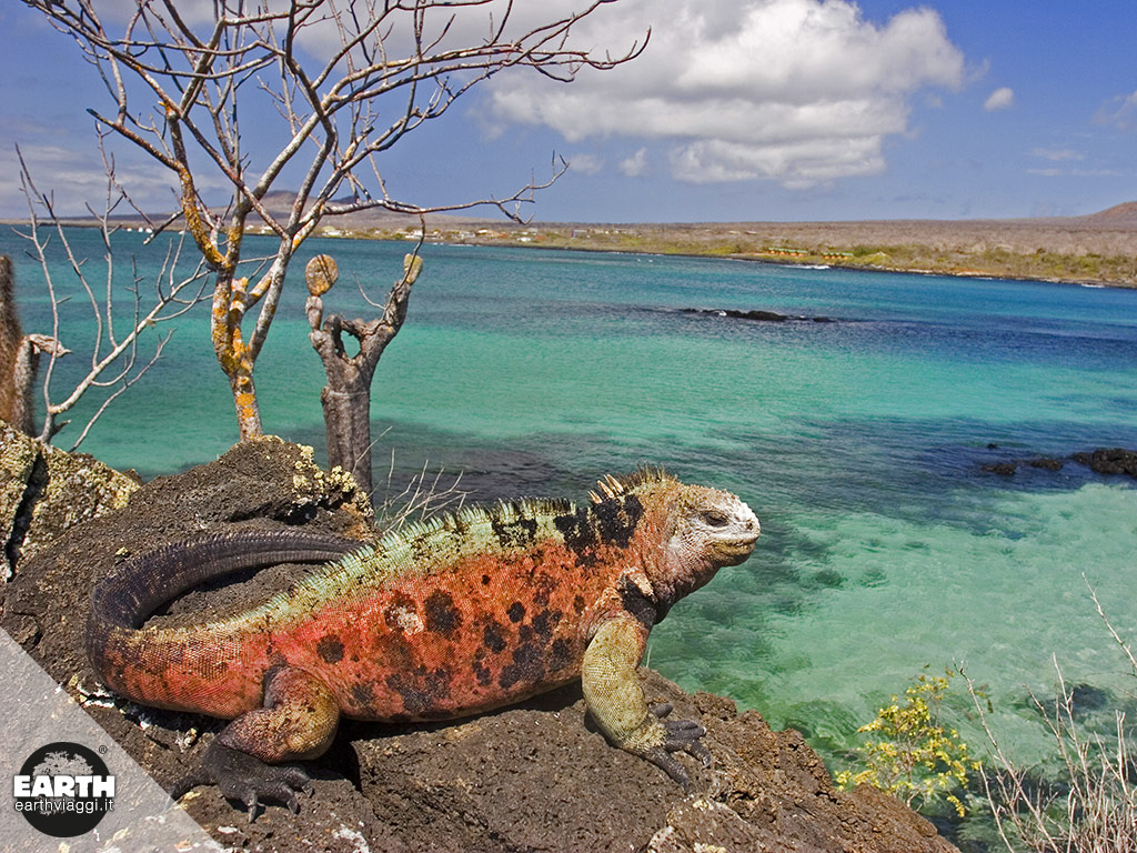 Notti da sogno: dormire alle isole Galapagos