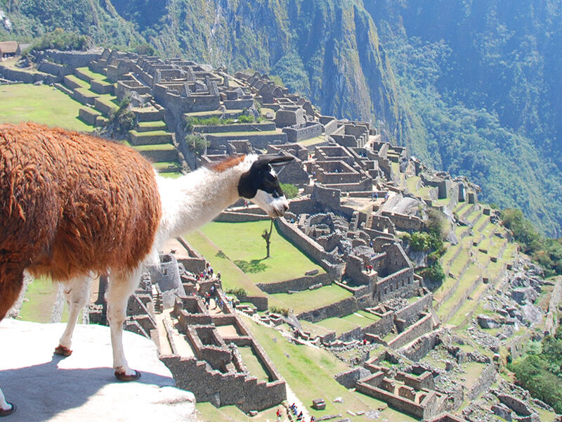 guardiani dei monumenti, Machu Picchu