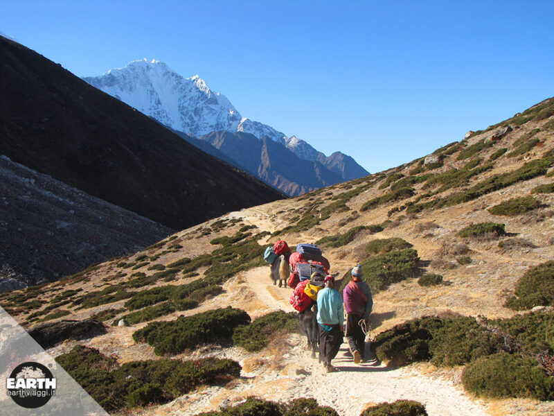 sherpa, nepal