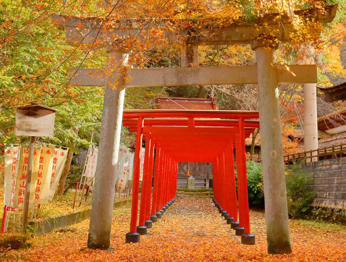 8 giardini giapponesi da visitare a Tokyo in ogni stagione - JAPAN AIRLINES  (JAL)