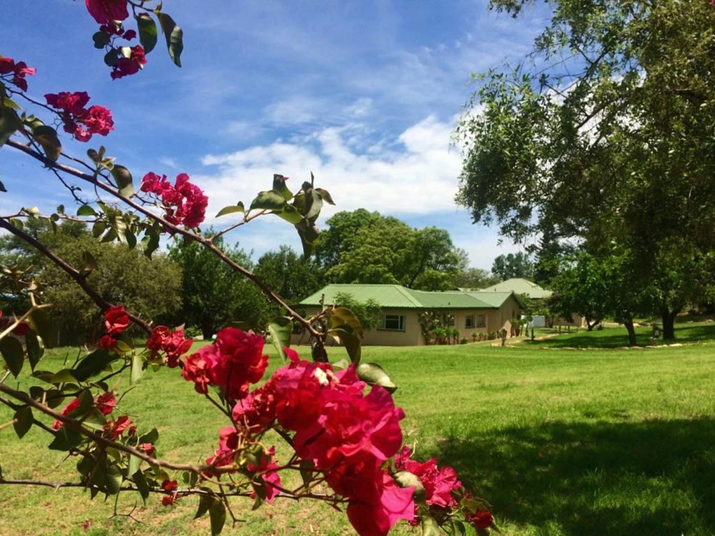 NoveNove Farm: la tua casa in SudAfrica